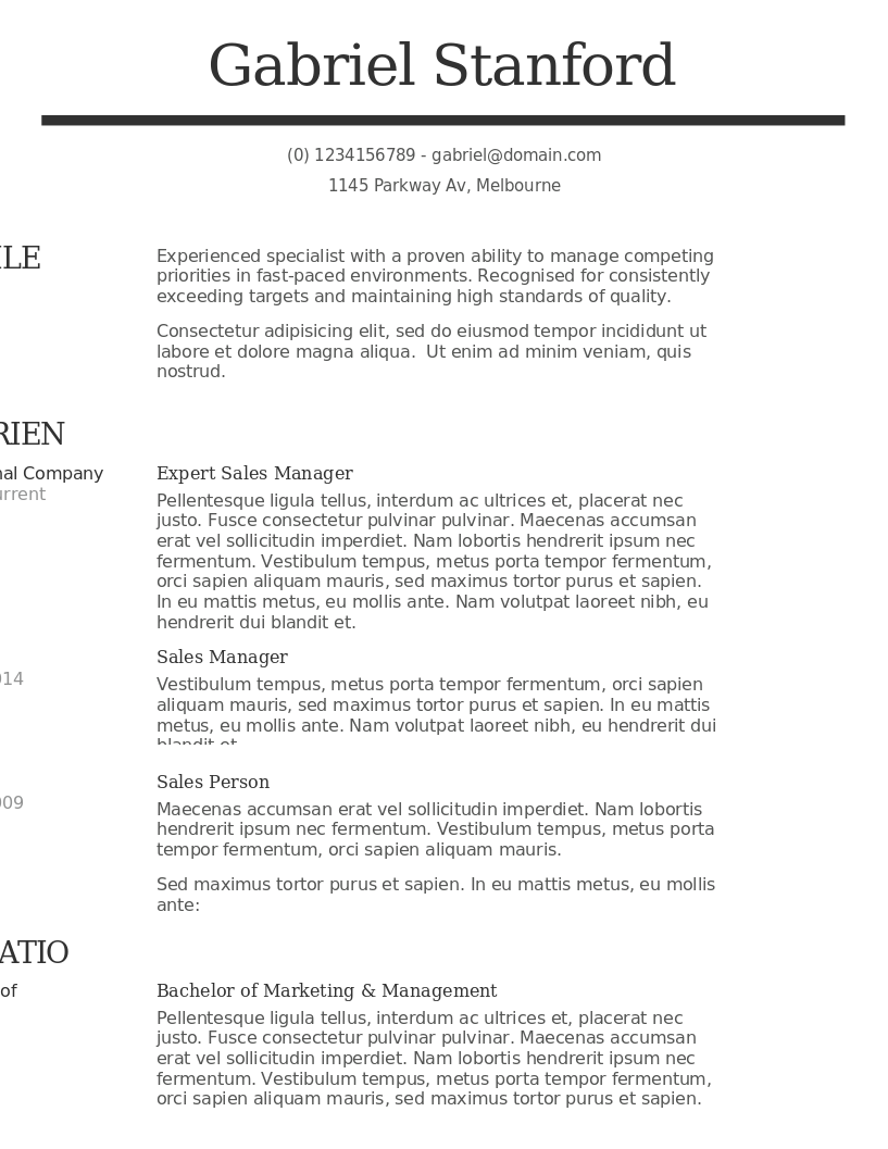Sleek and Simple CV preview